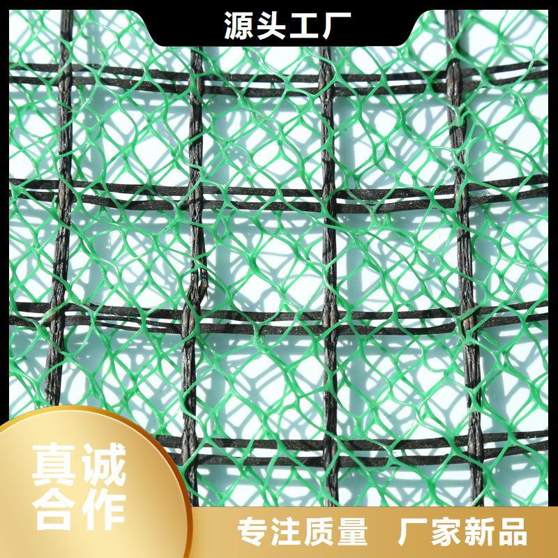 三维植被网植草格源厂直销