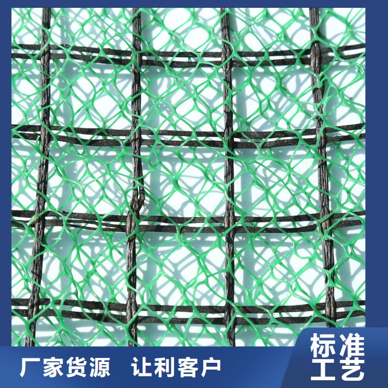 三維植被網(wǎng)_植草格定制不額外收費