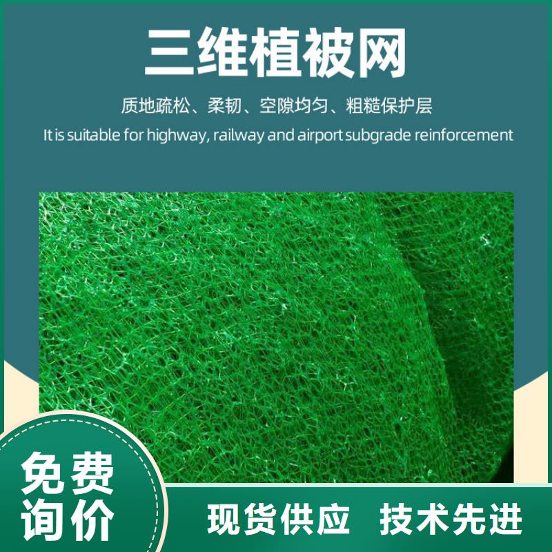 三維植被網(wǎng)_植草格定制不額外收費
