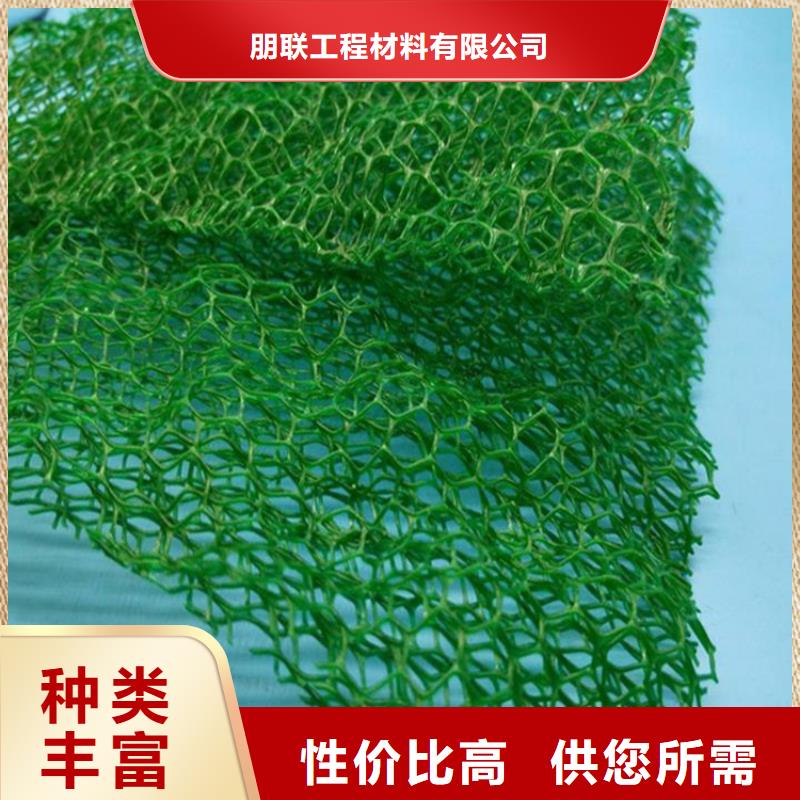 三维土工网垫-本地生产厂家