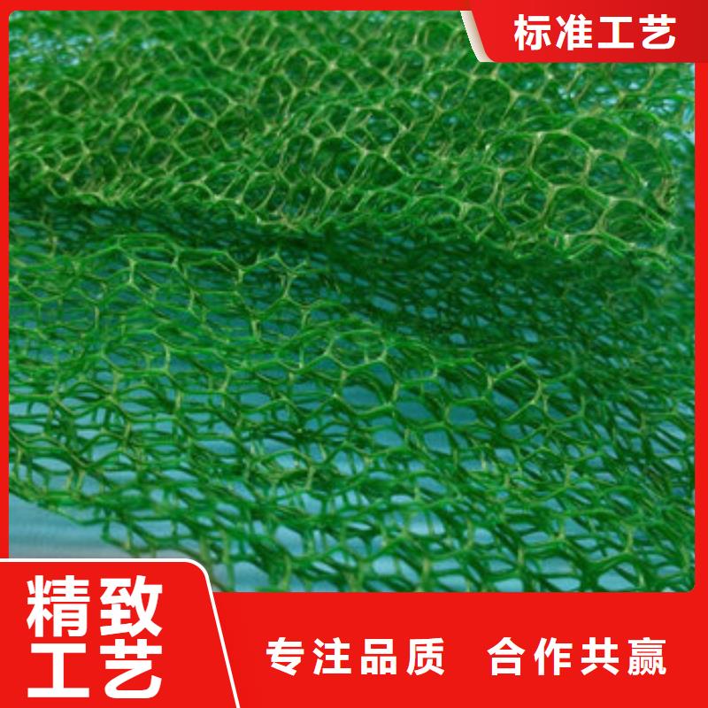 三维植被网-防护虹吸排水收集系统工厂价格