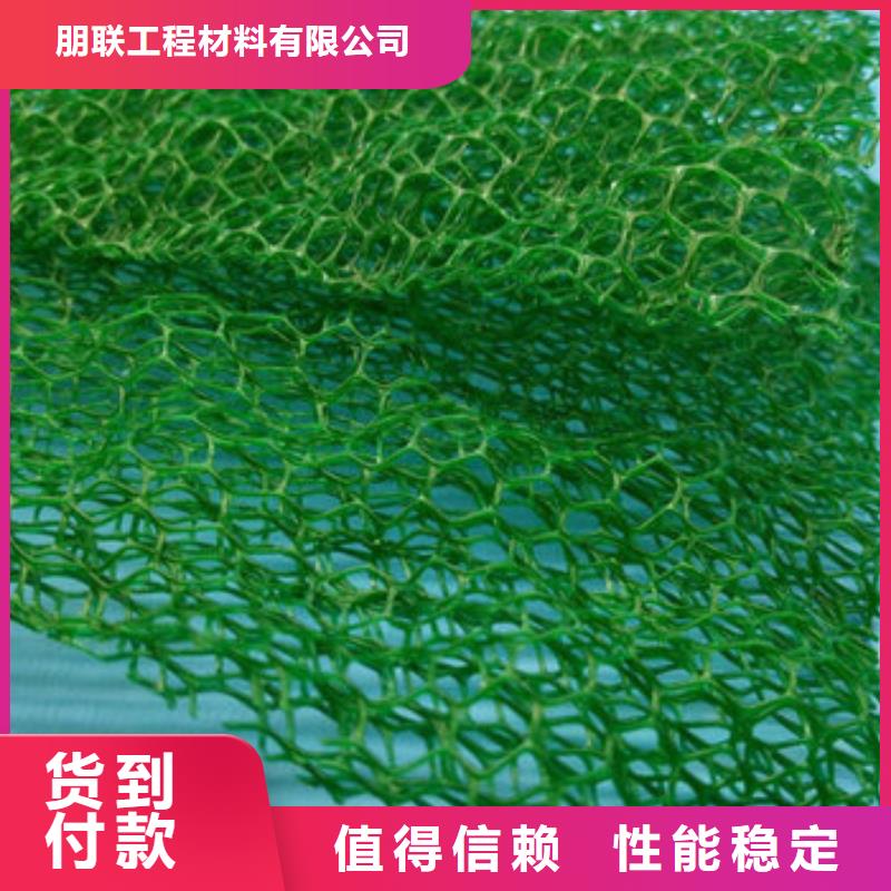 三維植被網(wǎng)_植草格定制不額外收費(fèi)