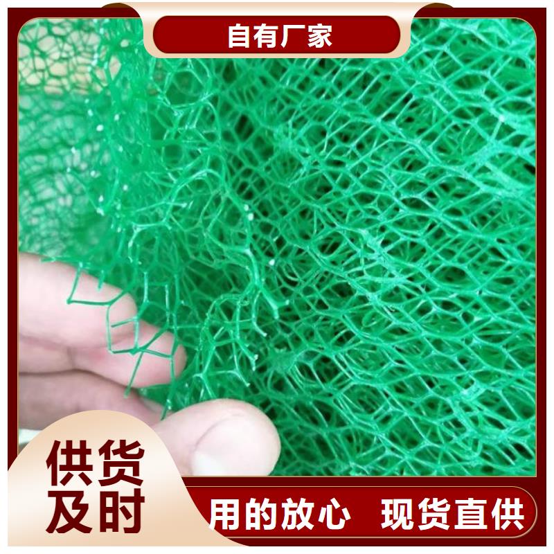 三维植被网水泥化粪池工艺层层把关