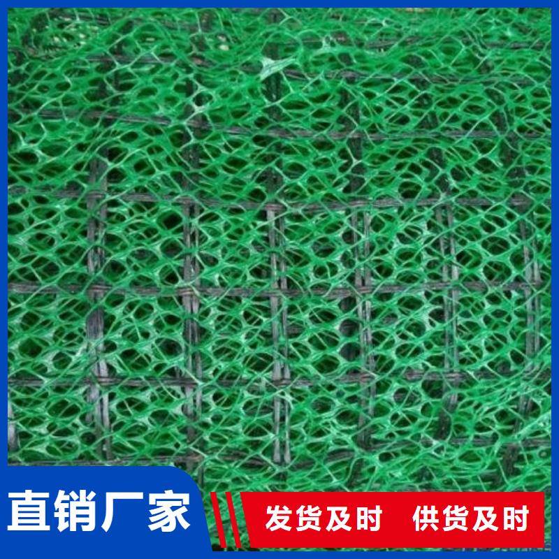 三维植被网-防护虹吸排水收集系统用心制造