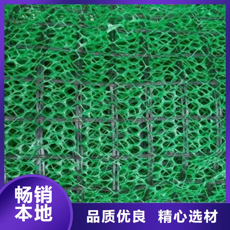三維植被網(wǎng)_水泥化糞池支持批發(fā)零售
