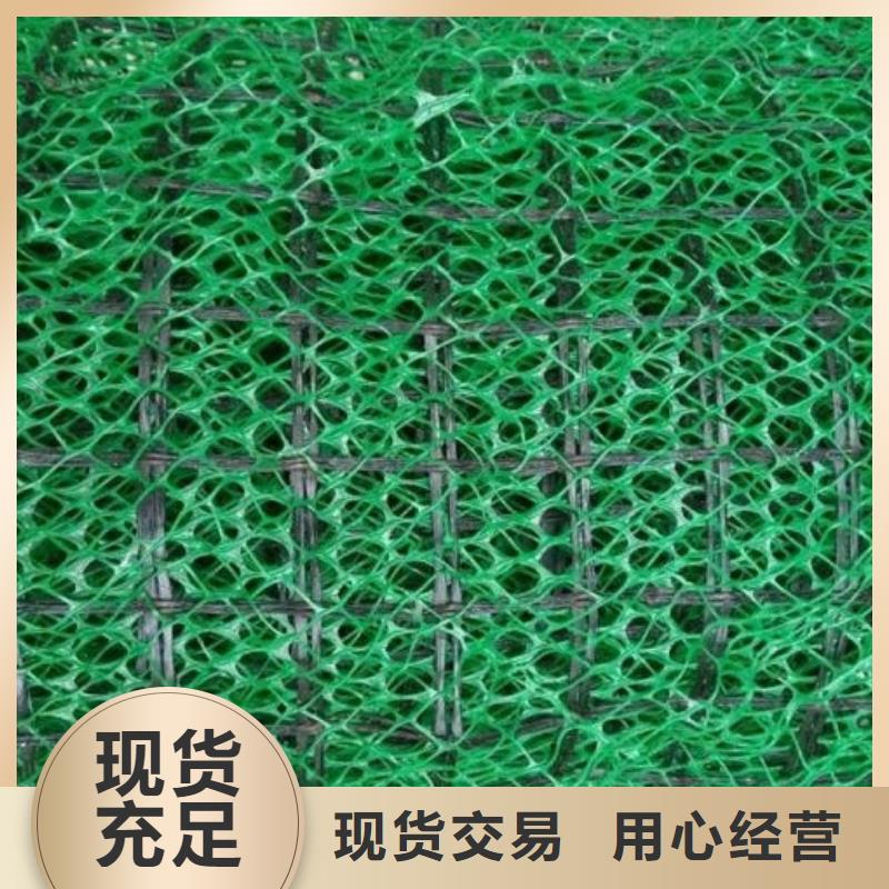 三維植被網(wǎng)植草格廠家經(jīng)驗(yàn)豐富