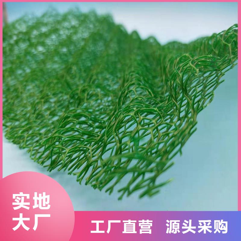 三維植被網(wǎng)_防護(hù)虹吸排水收集系統(tǒng)高質(zhì)量高信譽(yù)