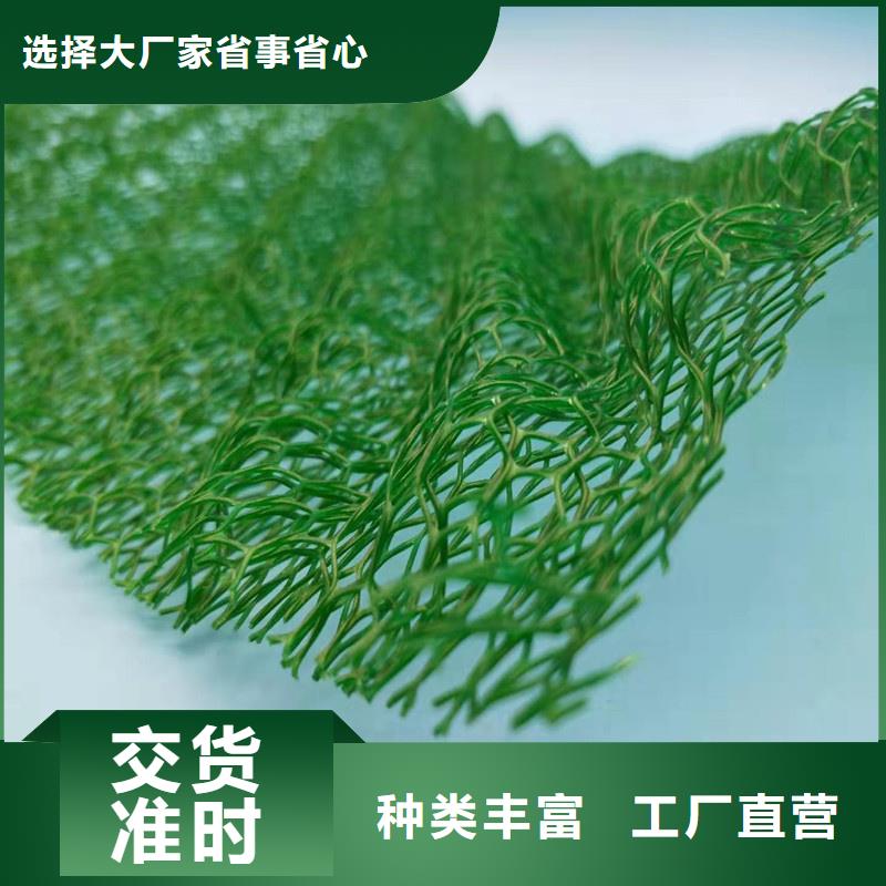 三維植被網(wǎng)_植草格定制不額外收費