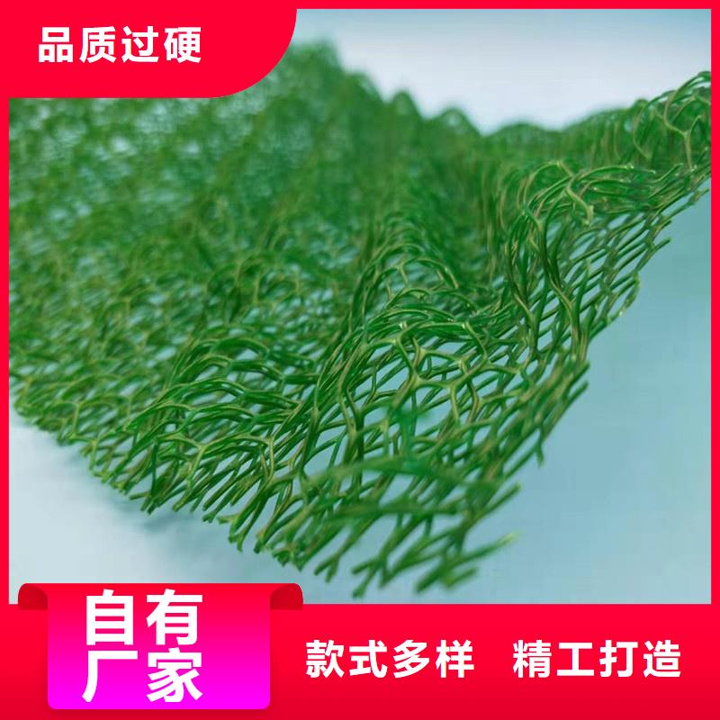 三維植被網(wǎng)-防護(hù)虹吸排水收集系統(tǒng)品質(zhì)不將就