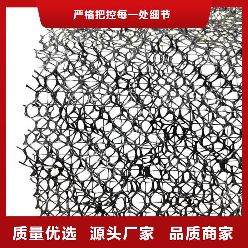 三維植被網(wǎng)_防護(hù)虹吸排水收集系統(tǒng)高質(zhì)量高信譽(yù)