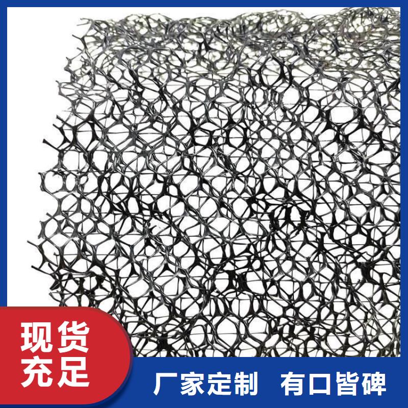 三維植被網(wǎng)_植草格定制不額外收費