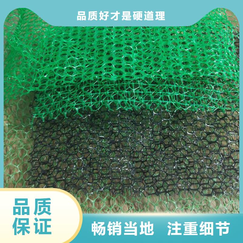 三維植被網(wǎng)_防護虹吸排水收集系統(tǒng)高質(zhì)量高信譽