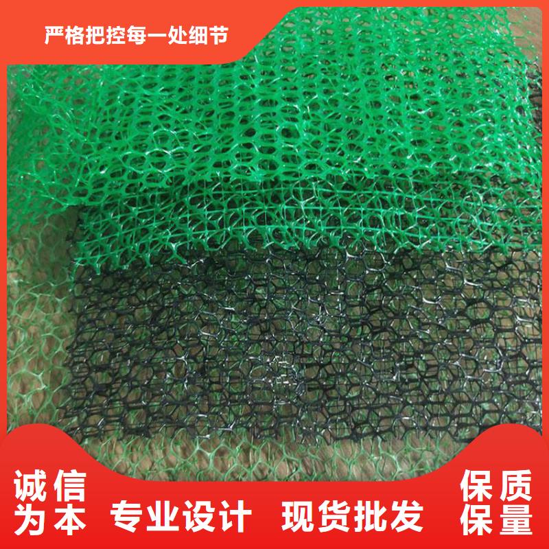 三維植被網(wǎng)_防護(hù)虹吸排水收集系統(tǒng)高質(zhì)量高信譽(yù)