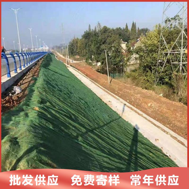 三维植被网_ 植草格满足客户需求