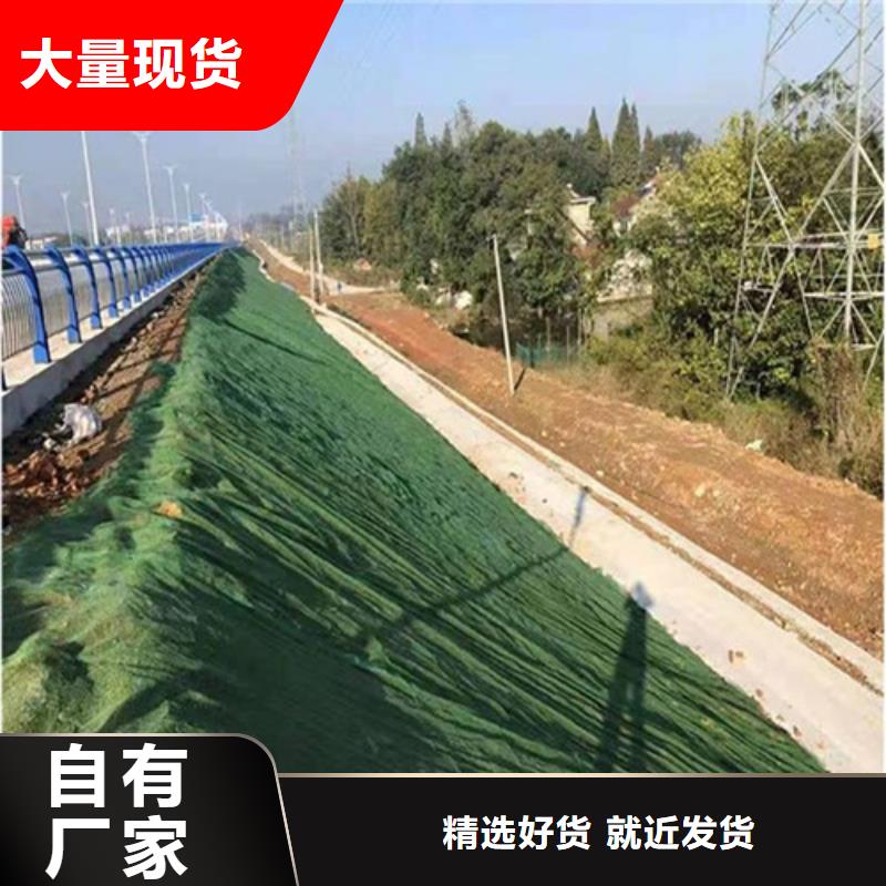 三维植被网植草格源厂直销
