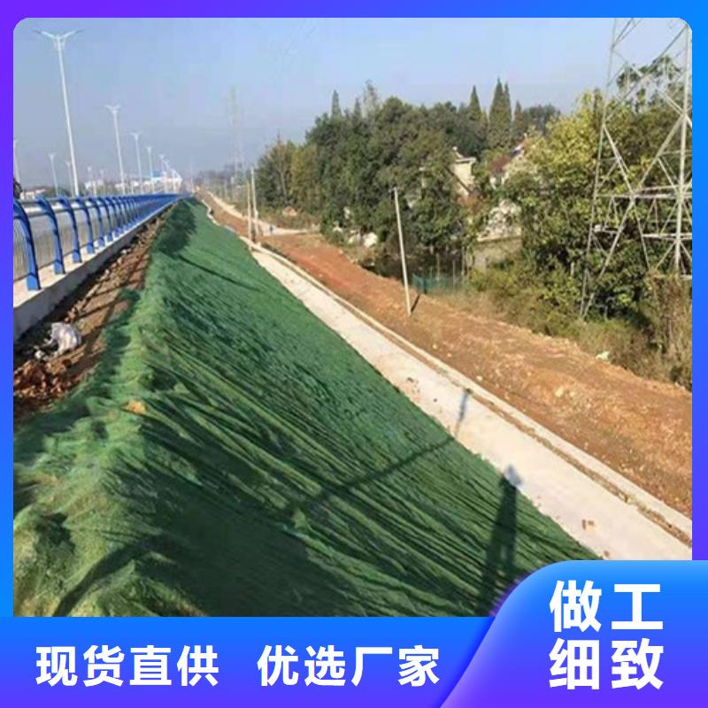 三維植被網(wǎng)排水板滿(mǎn)足客戶(hù)需求