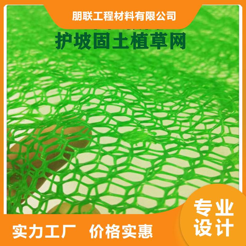 三維植被網(wǎng)_植草格定制不額外收費