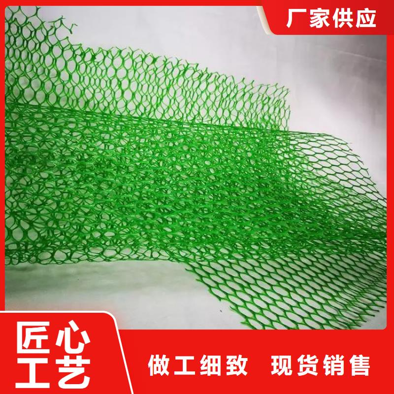 三維植被網(wǎng)-防護(hù)虹吸排水收集系統(tǒng)品質(zhì)不將就