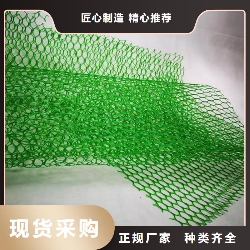 三維植被網(wǎng)防護(hù)虹吸排水收集系統(tǒng)嚴(yán)格把控質(zhì)量