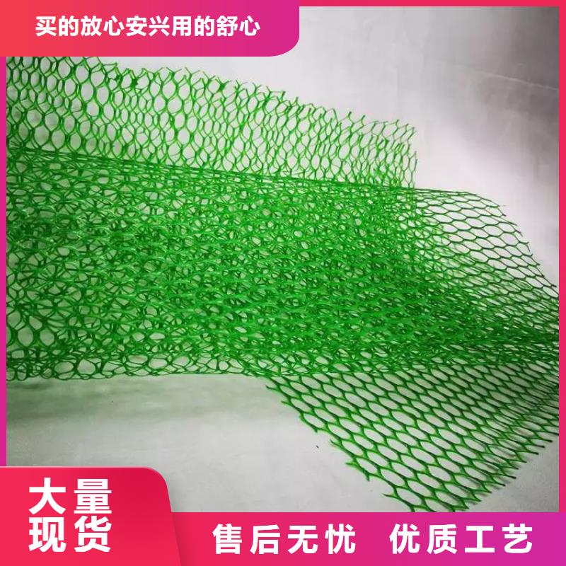 三維植被網(wǎng)_植草格定制不額外收費