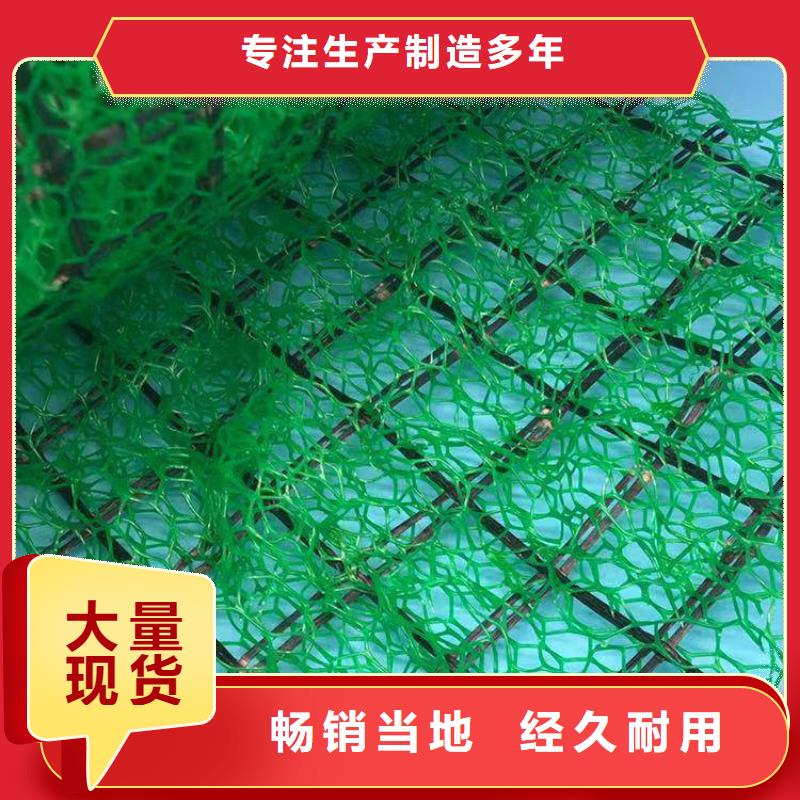 三維植被網(wǎng)_植草格定制不額外收費