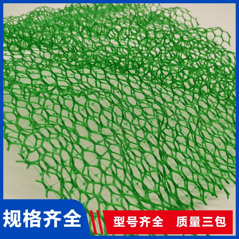 三維植被網(wǎng)_水泥化糞池支持批發(fā)零售