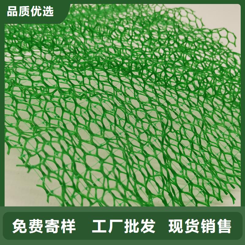 三維植被網(wǎng)_植草格定制不額外收費