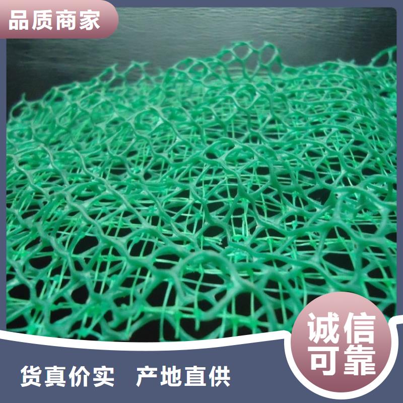 三維植被網(wǎng)_植草格定制不額外收費
