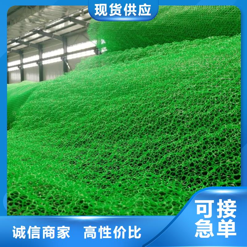 三維植被網(wǎng)_植草格定制不額外收費