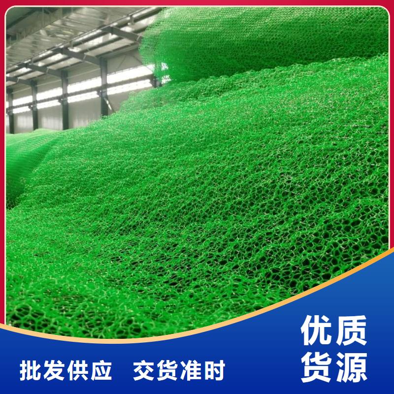 三維植被網(wǎng)_植草格定制不額外收費(fèi)