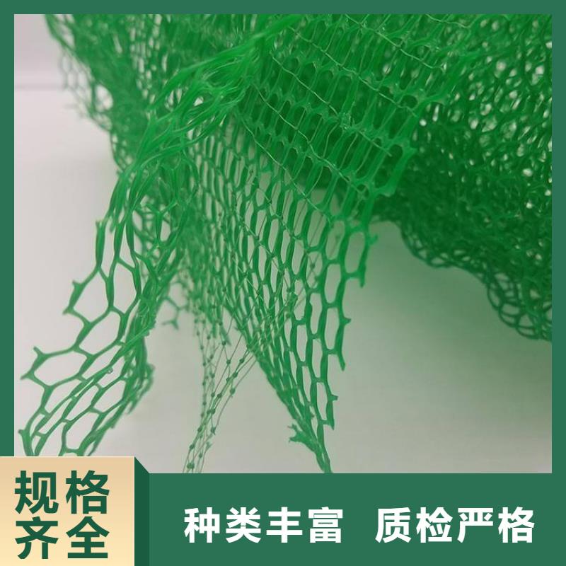 三維植被網(wǎng)_植草格定制不額外收費