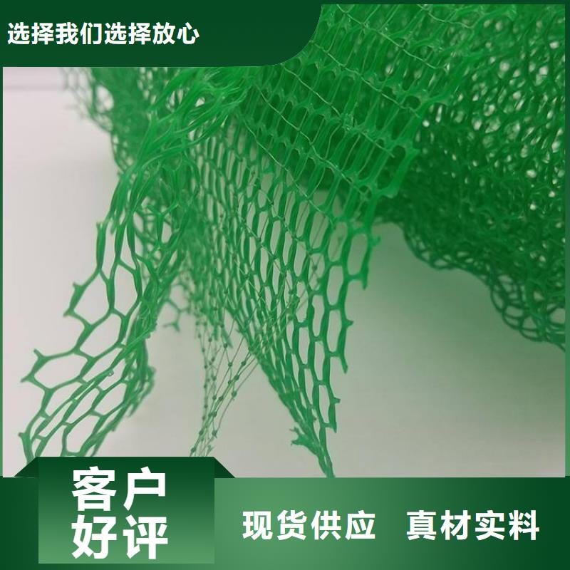 三維植被網(wǎng)_植草格定制不額外收費(fèi)