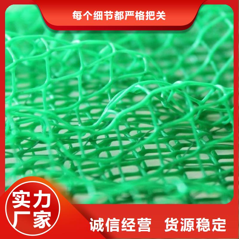 三維植被網(wǎng)_植草格定制不額外收費(fèi)