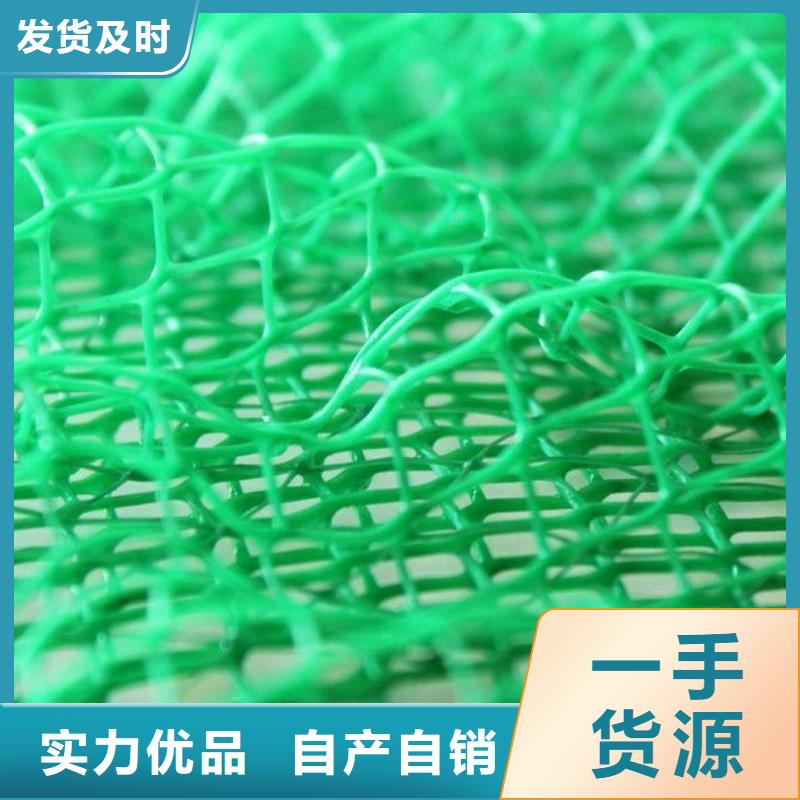 三維植被網(wǎng)_植草格定制不額外收費