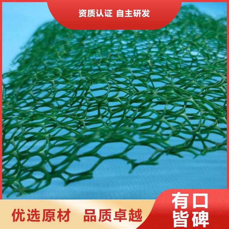 三維植被網(wǎng)_植草格定制不額外收費