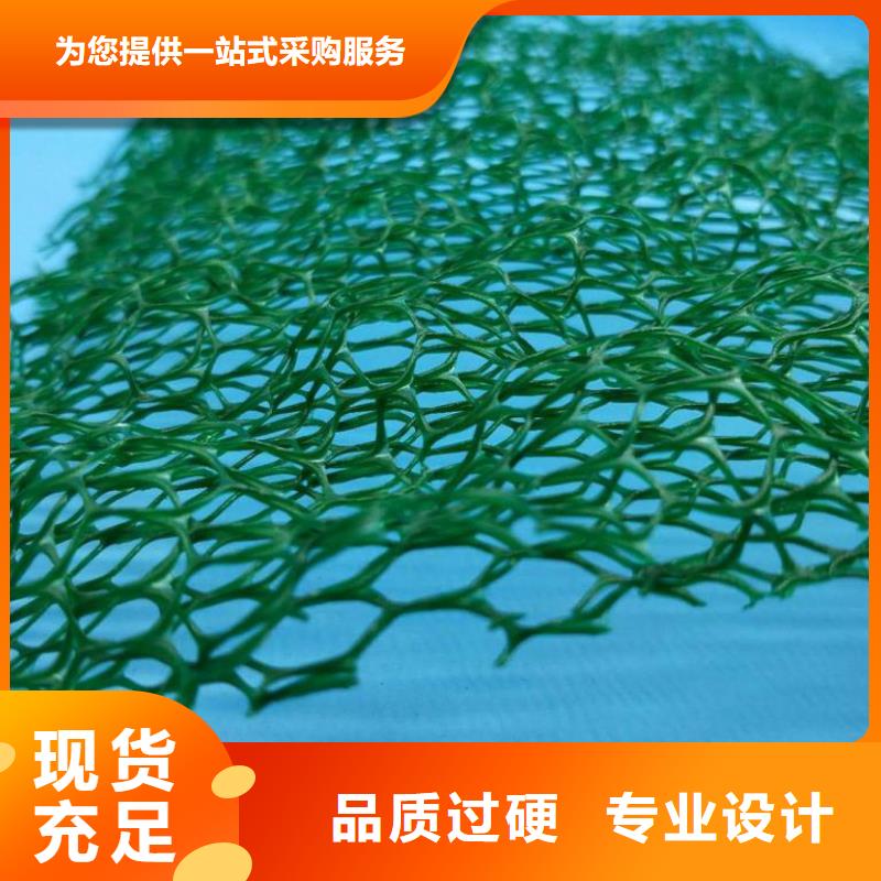 三維植被網(wǎng)_植草格定制不額外收費(fèi)