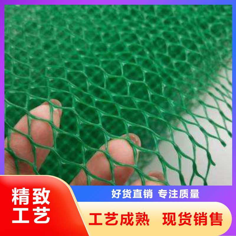 三維植被網(wǎng)_植草格定制不額外收費(fèi)