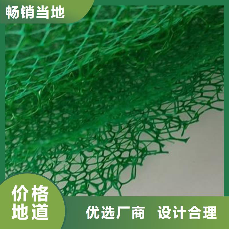 三維植被網(wǎng)_植草格定制不額外收費(fèi)