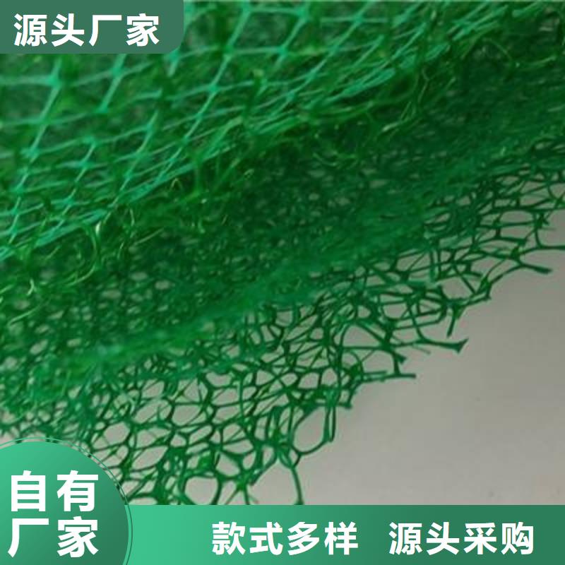 三維植被網(wǎng)_植草格定制不額外收費