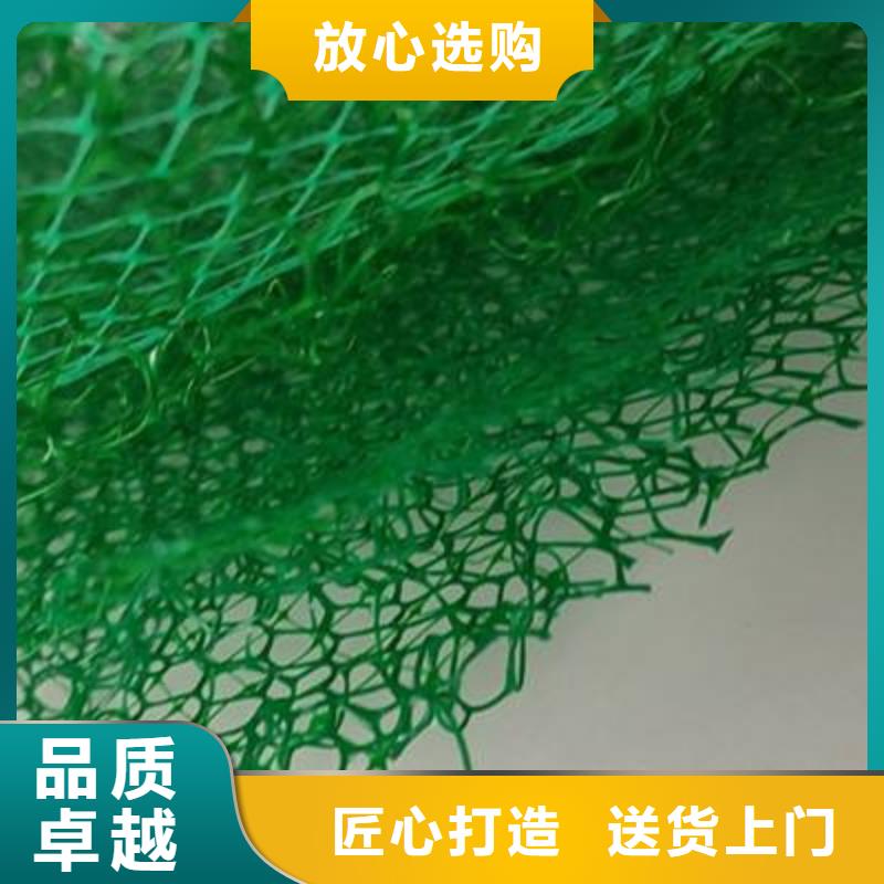 三維植被網(wǎng)_植草格定制不額外收費