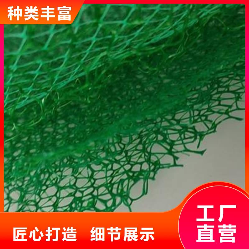三維植被網(wǎng)_植草格定制不額外收費(fèi)