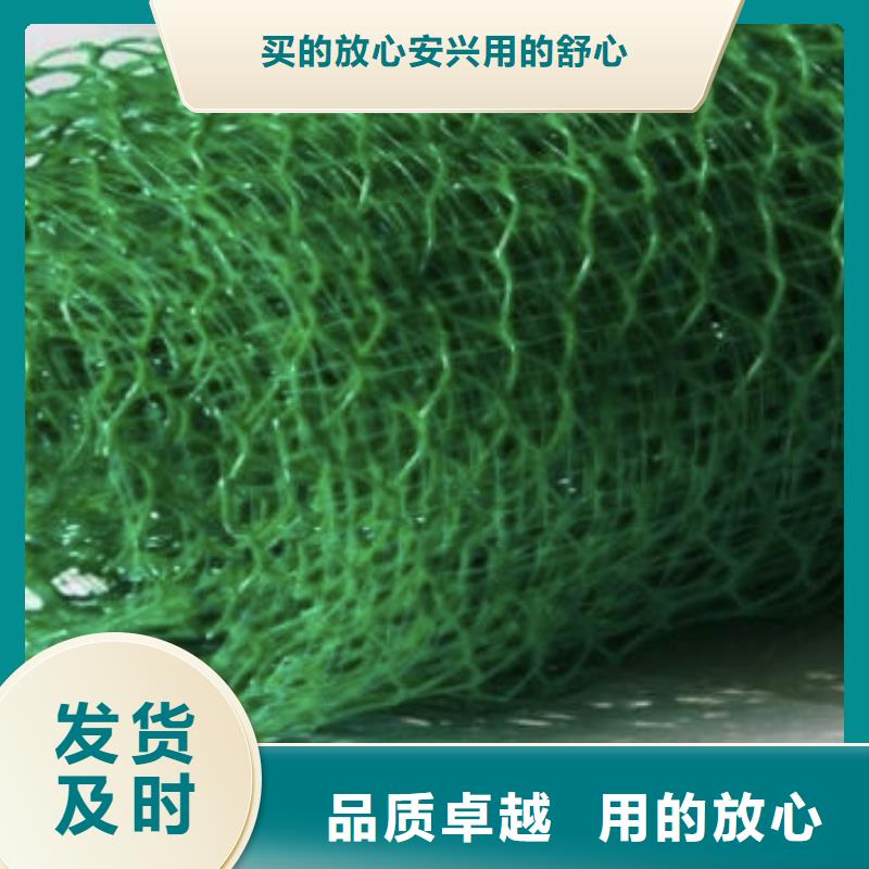 三維植被網(wǎng)_植草格定制不額外收費(fèi)