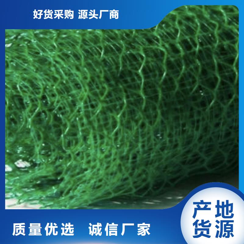 三維植被網(wǎng)_植草格定制不額外收費