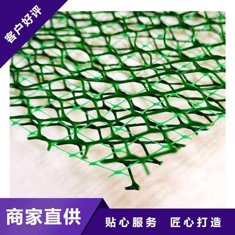 三維植被網(wǎng)_植草格定制不額外收費(fèi)