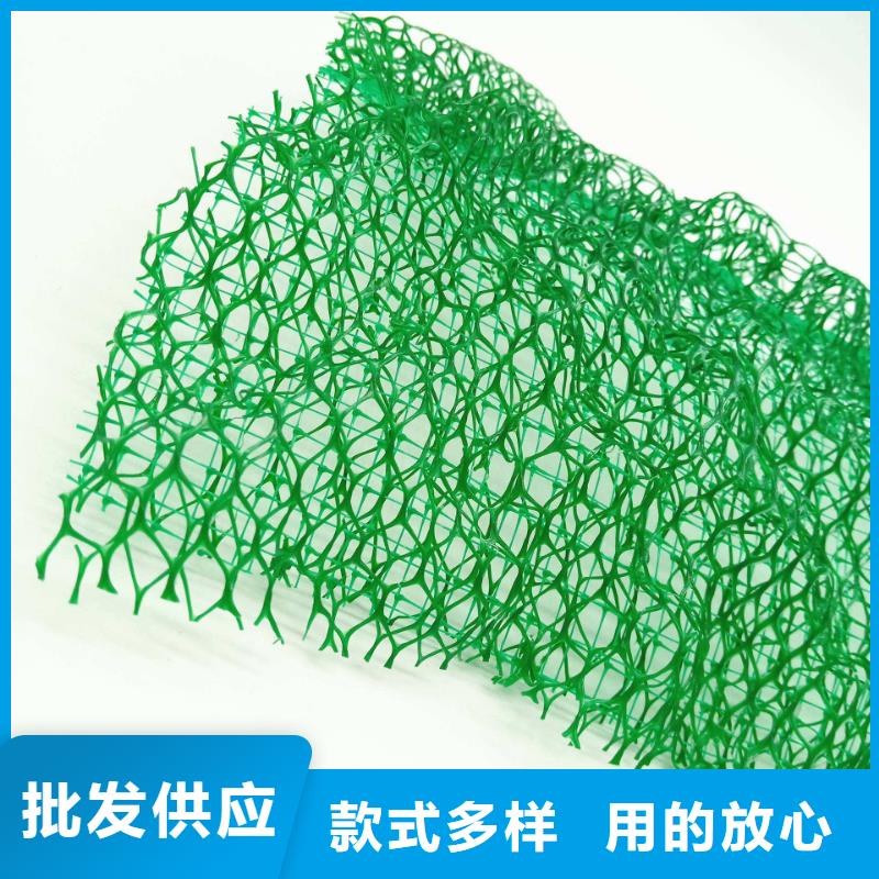 三維植被網(wǎng)_植草格定制不額外收費(fèi)