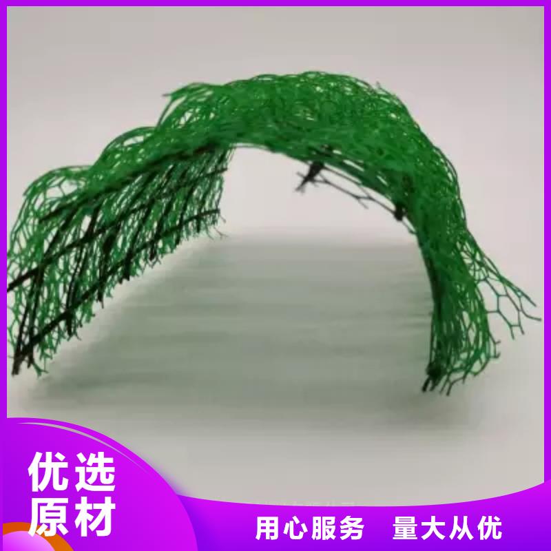 三維植被網(wǎng)_植草格定制不額外收費