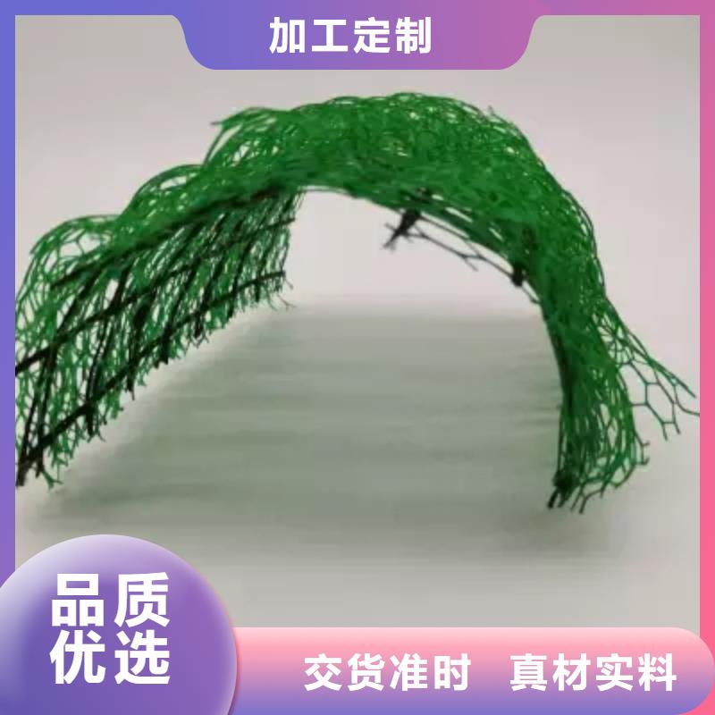 三維植被網(wǎng)_植草格定制不額外收費(fèi)