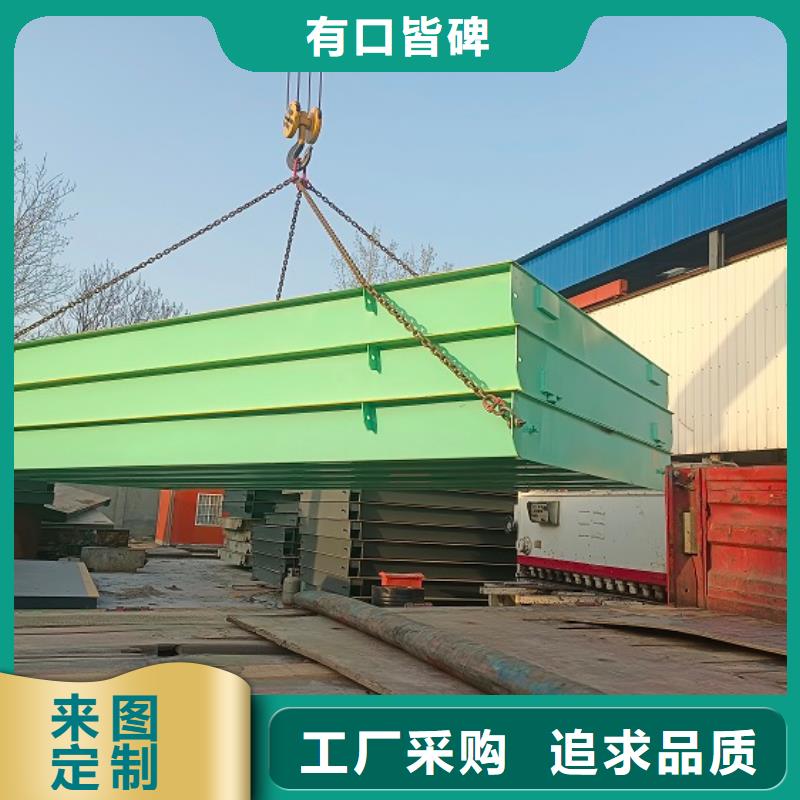 【地磅】電子磅價格低