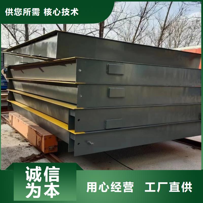 地磅吊钩秤仪表为品质而生产