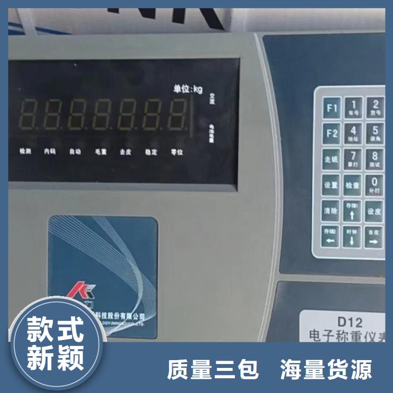 电子地磅,地磅秤品质保障售后无忧